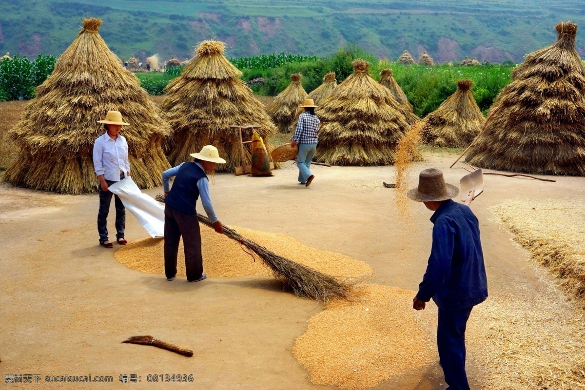 打麦场 麦子 丰收 西部农村 乡村风情 日常生活 人物图库