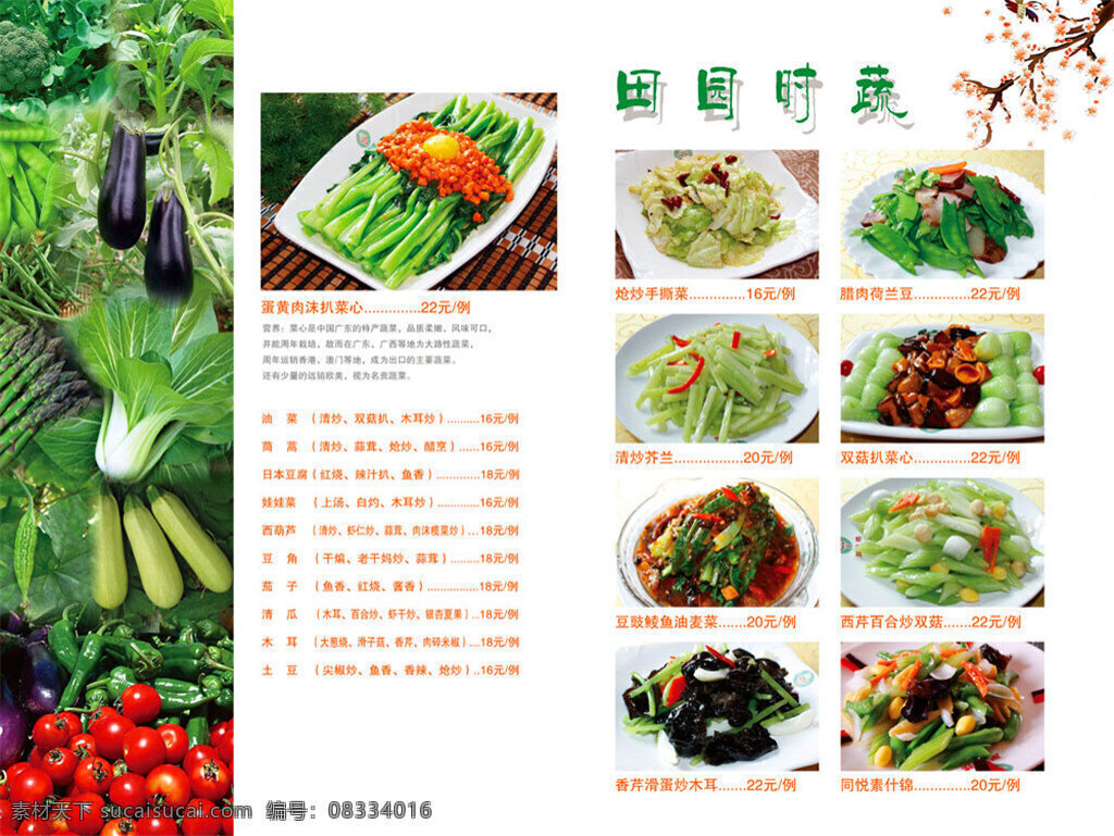 时蔬 菜单 价目表 菜谱 菜谱设计 菜谱设计模板 模板 菜谱模板下载 菜谱制作模板 菜单菜谱