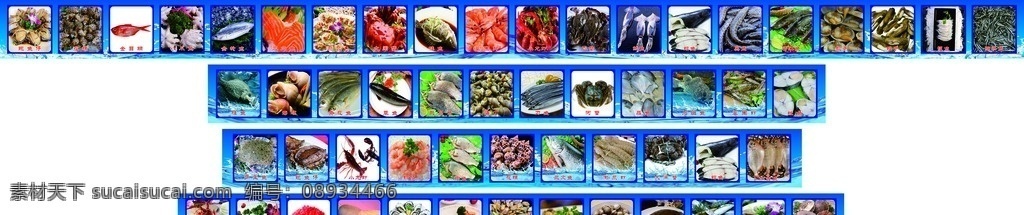 海鲜 馆 广告招牌 各种 招牌 广告 菜单