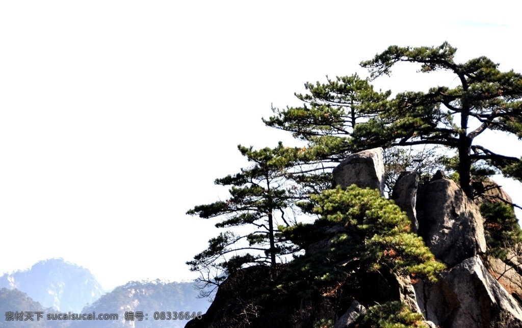 黄山 高山 气势 风景 旅游 安徽 壮观 自然风景 旅游摄影