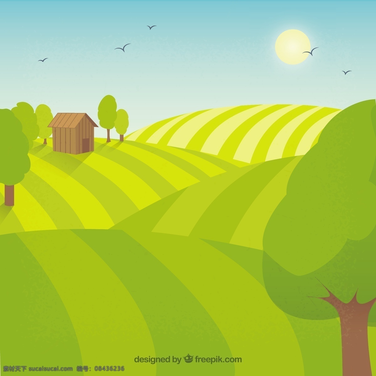 小农场在农村 鸟 自然 农业 园林 蔬菜 生态 有机 环境 发展 地面 乡村 友好 农村 可持续发展 小 植被