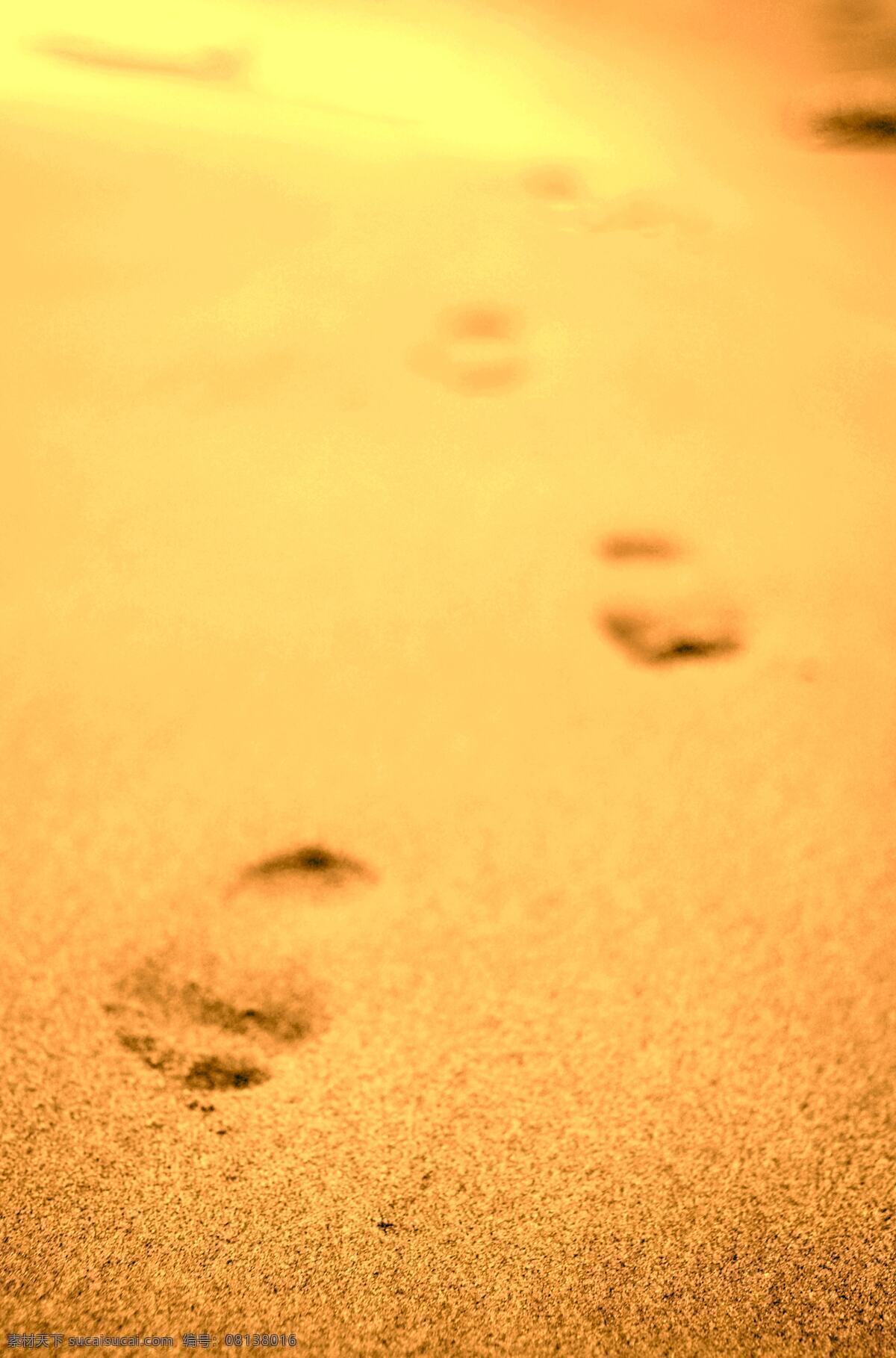 足迹 脚印 沙滩 阳光 快乐 随走随摄 旅游摄影 自然风景