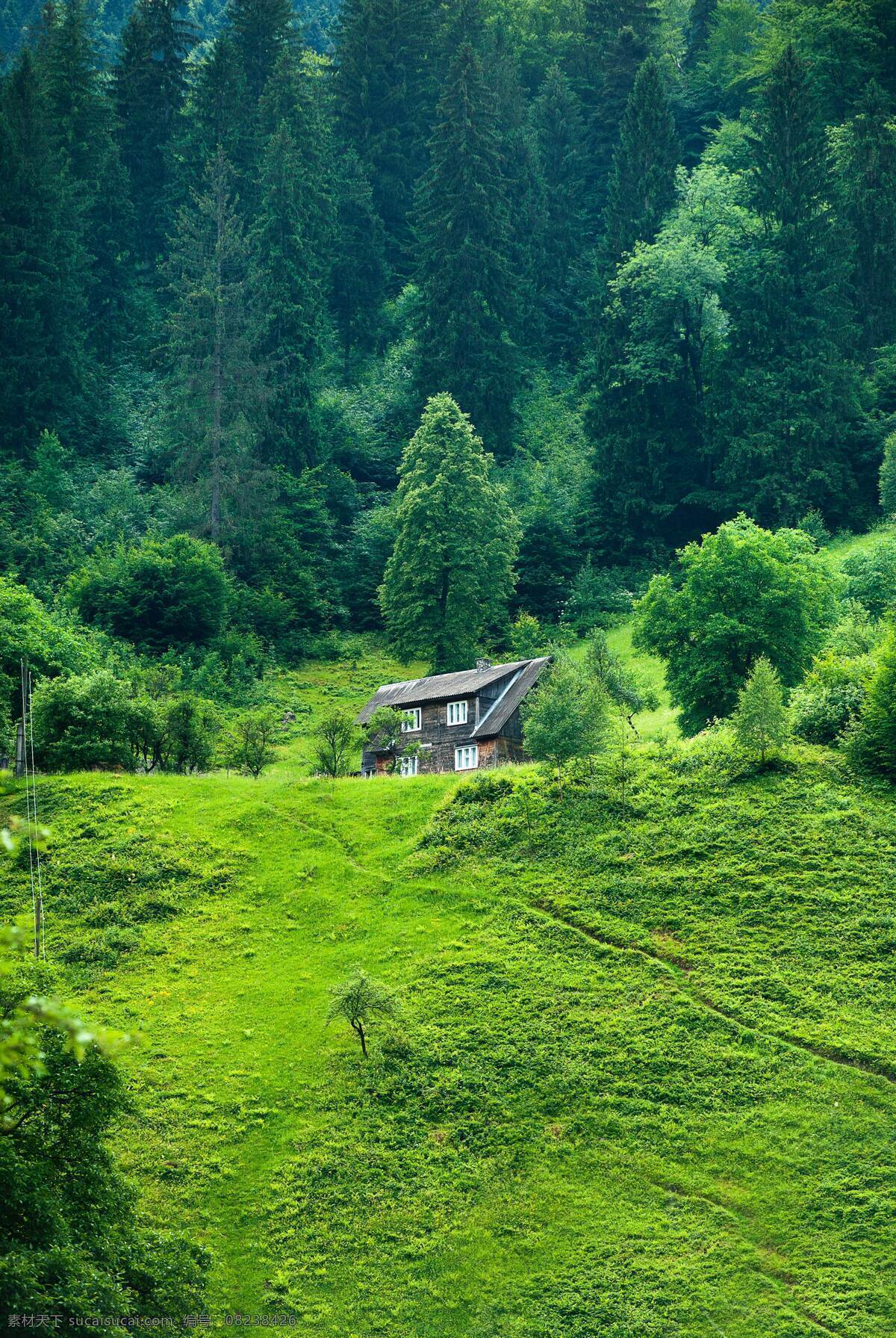 青山如画 青山绿水 绿水 春天山川湖水 湖水 公路 群山 山川 树木 草地 群山连绵 全景 春天青山 流水 高山 山峰 山脉 白云 天空 自然风光 风景图 自然景观 自然风景风景 春天来了 风景 风光 背景 山水风景