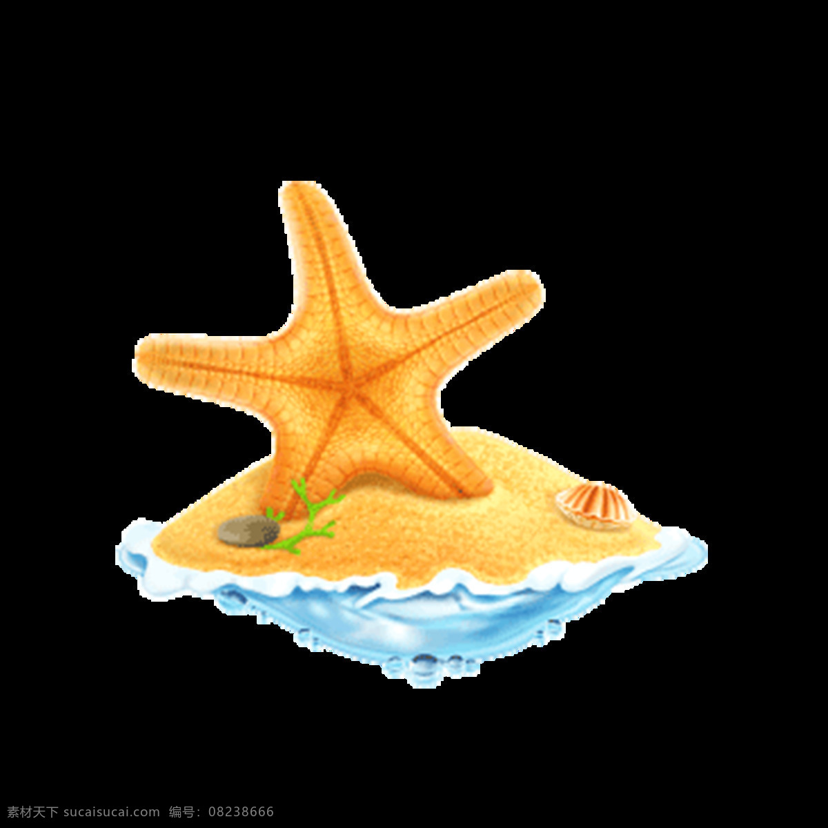 手绘 沙滩 海星 元素 大海 贝壳 免抠
