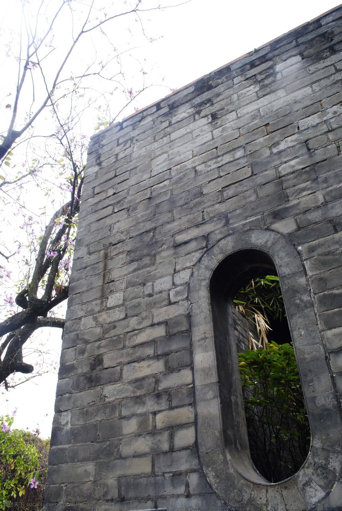 墙里墙外 青砖 砖头 墙角 墙头 中式青砖 古代青砖 清代清砖 清朝清砖 墙面 墙上 东莞 建筑摄影 建筑园林