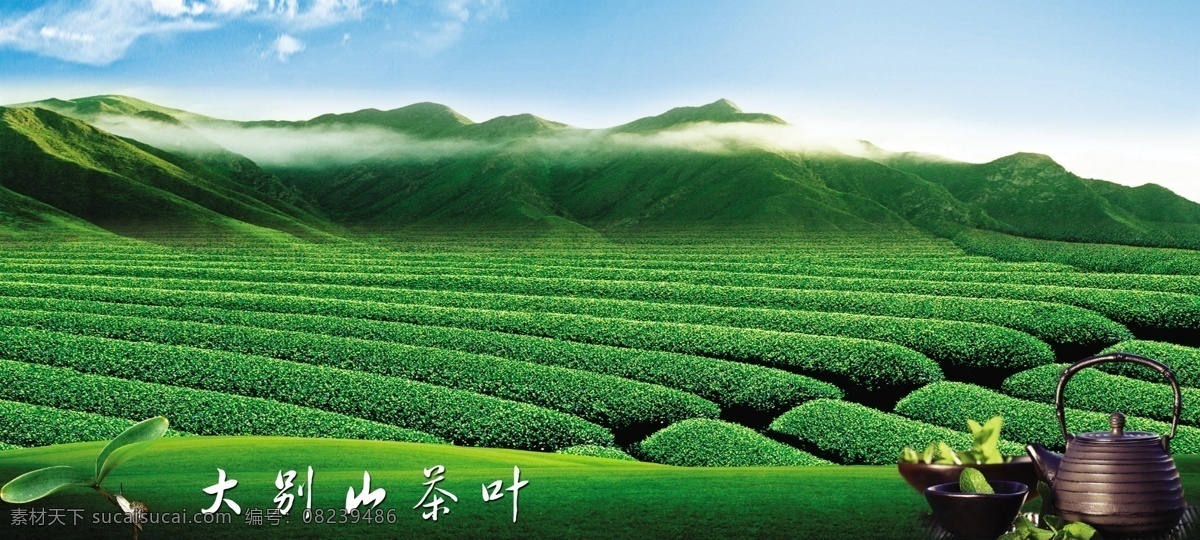 茶艺 茶山 茶具 茶壶 茶园 分层 源文件