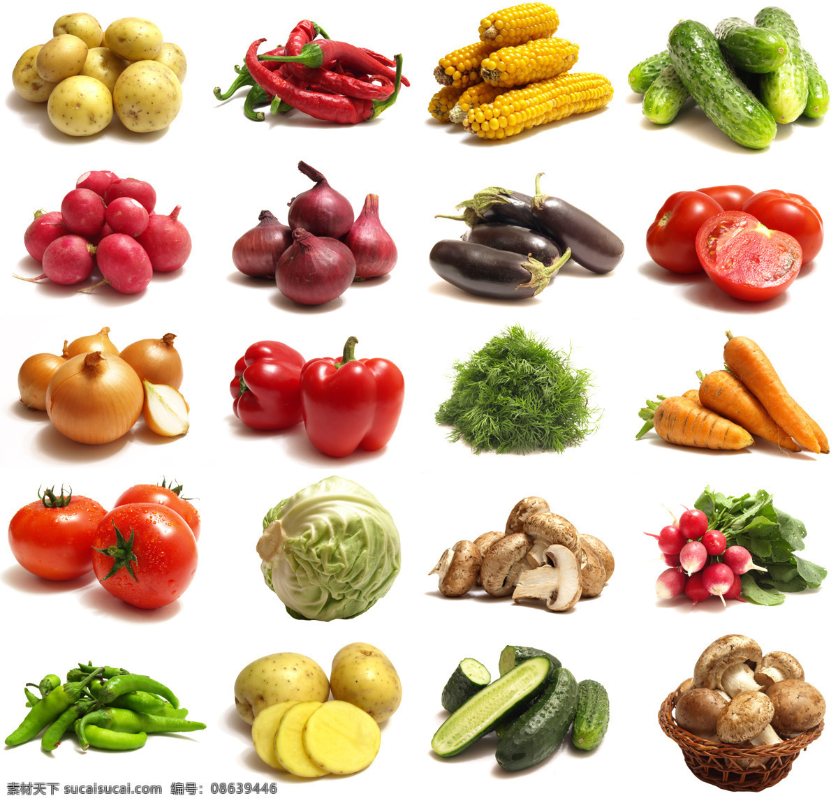 各种 蔬菜 食物 新鲜蔬菜 鲜艳 美味 可口 黄瓜 蘑菇 土豆 胡萝卜 番茄 茄子 玉米 蔬菜图片 餐饮美食