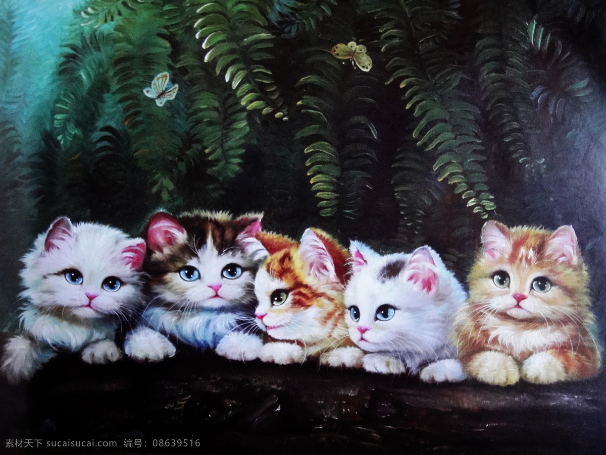 一群 小猫 高清 可爱 猫 文化艺术