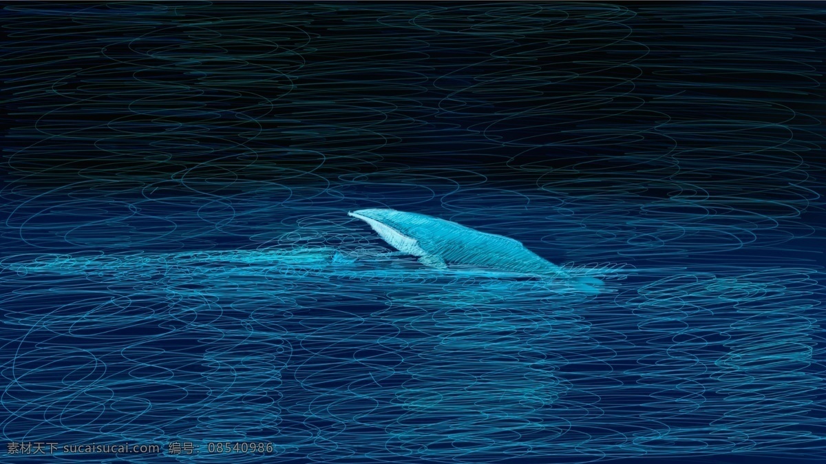 线圈 印象 深海 鲸鱼 治愈 系 插画 线圈印象 治愈系