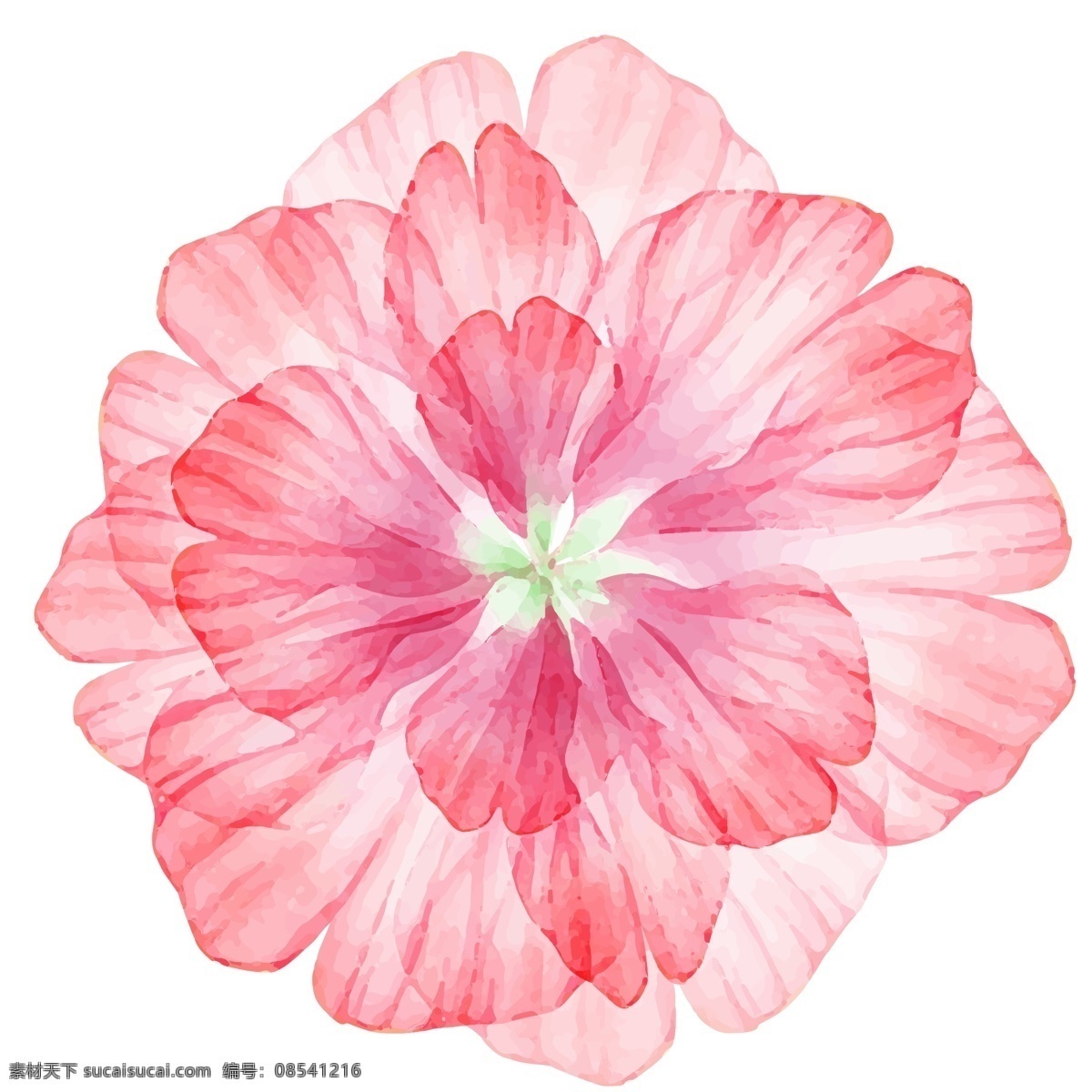 卡通 美丽 手绘 水彩 花 绘画 花卉 多彩 花瓣