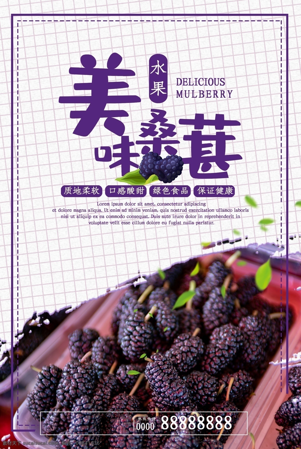 桑葚采摘 桑葚包装 覆盆子 葚种植 淘宝桑葚 桑葚膏 新鲜桑葚 桑葚干 葚果 紫桑葚桑 桑葚展架 桑葚酒 桑叶茶 桑葚汁 地黄 商陆 三盛 桑泡 桑葚海报 桑葚上市 桑葚标签 桑葚野果 桑葚鲜果 桑葚叶 桑果包装 摘桑葚 桑葚团购 果桑包装 桑树 桑椹 干桑葚 桑葚水果店 桑葚挂画
