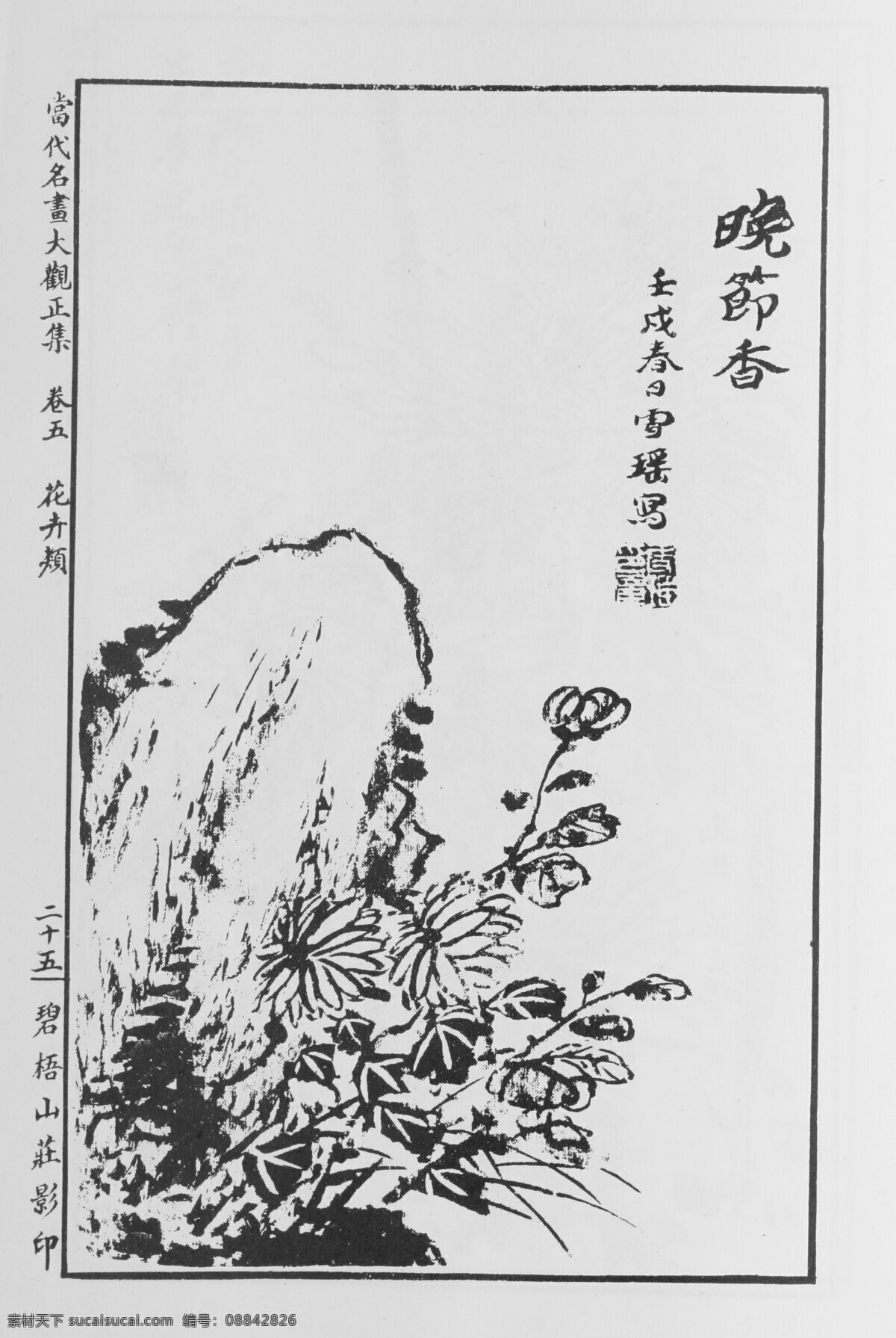 花卉画 中国画 当代 名画 大观 正 集 设计素材 花鸟画篇 中国画篇 书画美术 白色