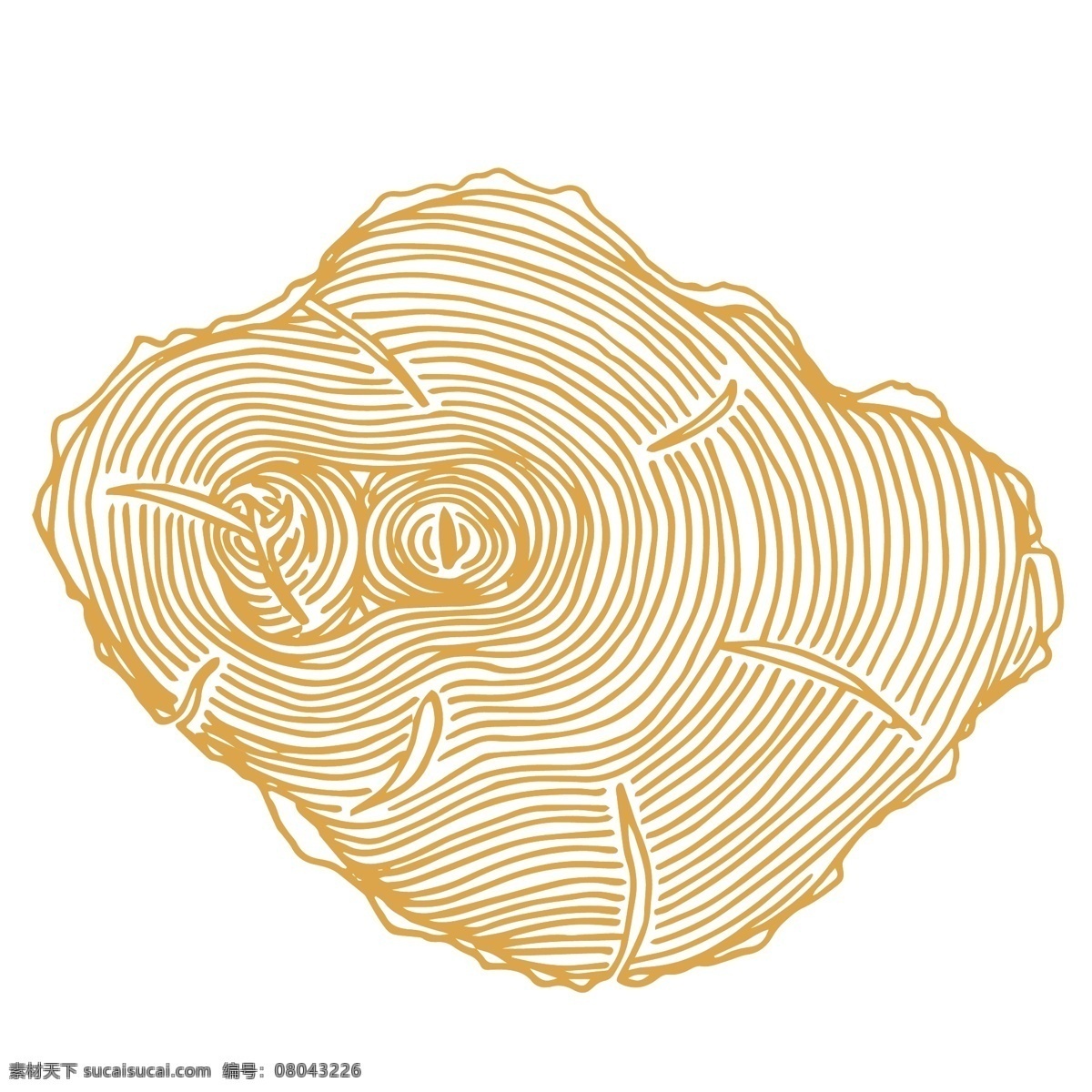 年轮 木纹 装饰 图案 树木 纹理 植物 线条 抽象 圆圈 绘画简笔