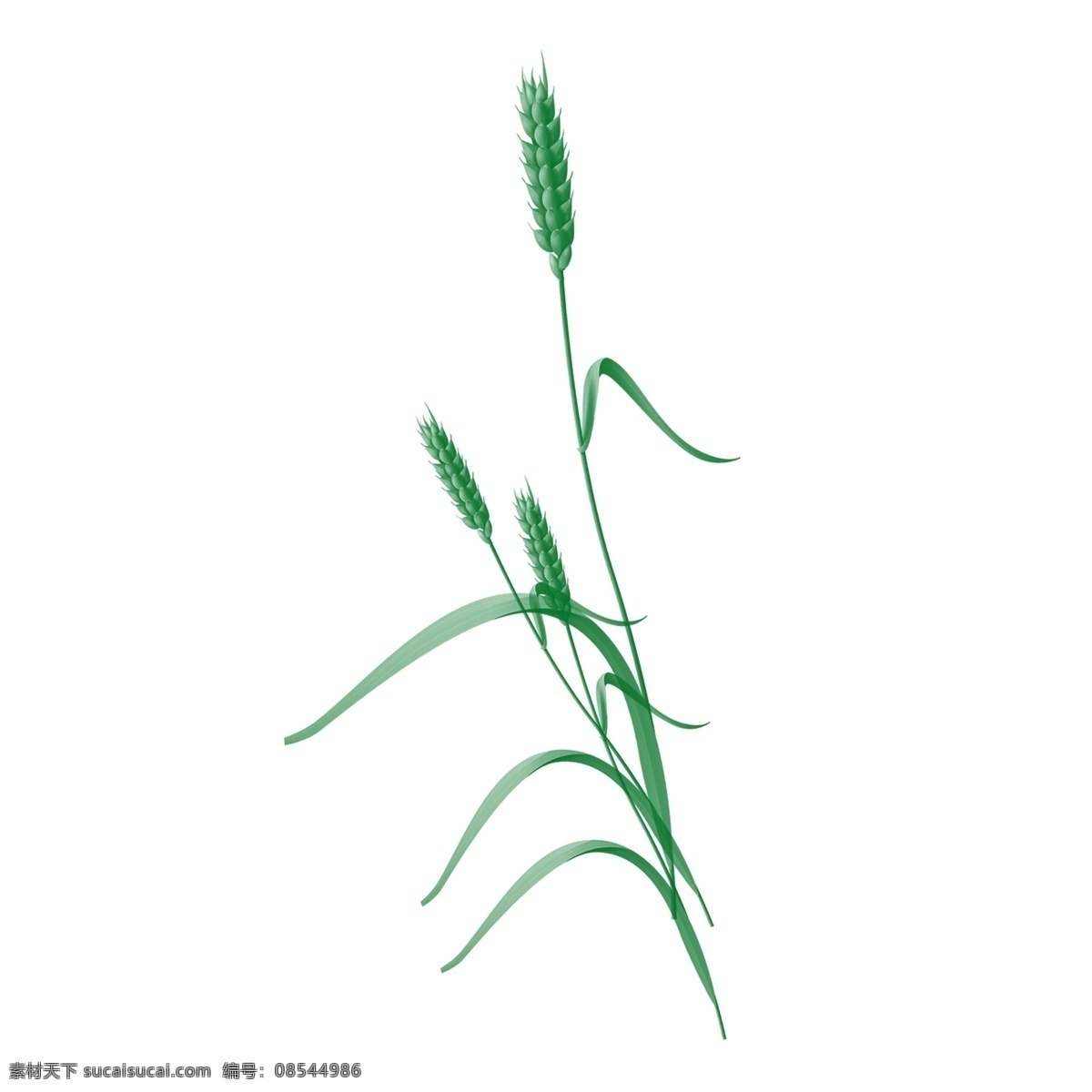 手绘 清新 麦子 透明 插画 免扣素材 透明素材 卡通素材 可爱 植物