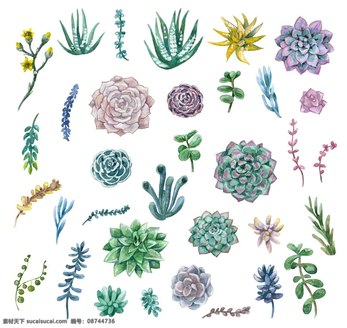 各类 植物 花卉 源文件 多肉 海报设计装饰 设计素材 树叶 淘宝素材 鲜花 装饰