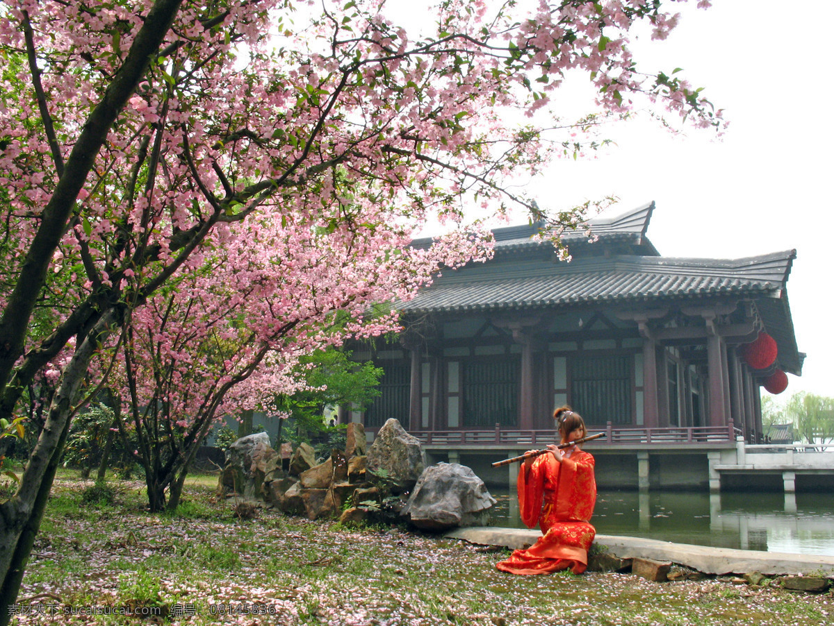 无锡 影视 基地 三国 城 景点 聚贤堂 美女吹箫 古代建筑 桃花 纷飞 绿水 无锡影视基地 三国城景点 美女拍摄 人物摄影 人物图库