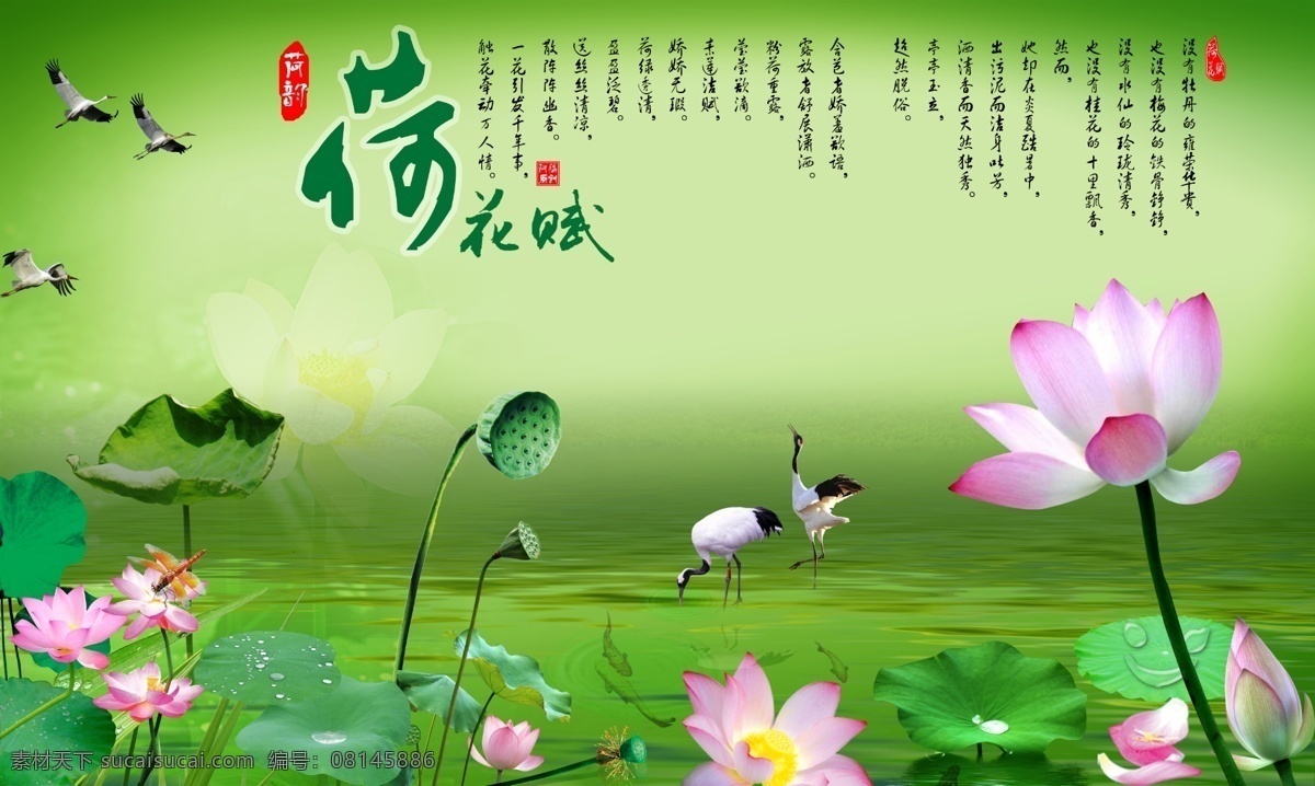 荷花图 睡莲 鱼 荷花 水 露珠 花瓣 水草 蜻蜓 仙鹤 分层 源文件