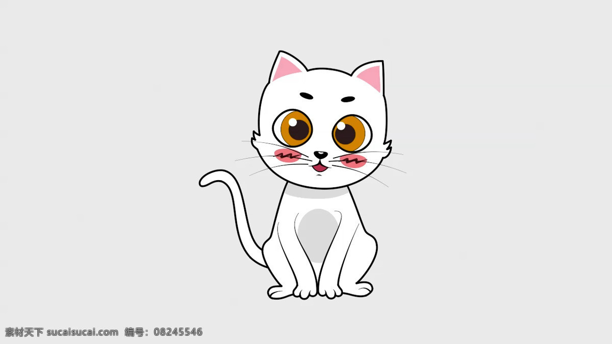 小 猫咪 眨眼 歪头 视频 猫 白猫 卡通猫 动物