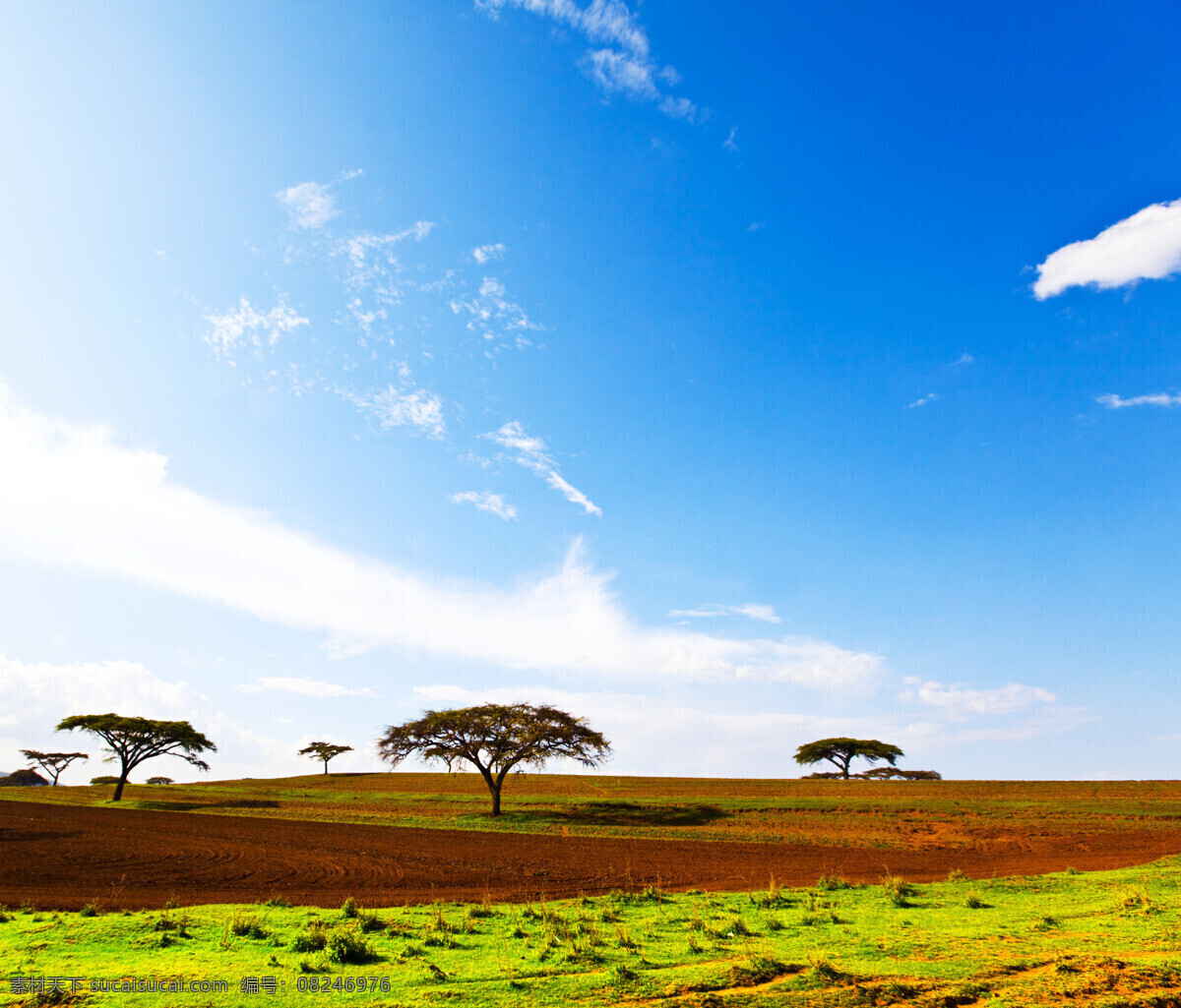 美丽 大 草原 风光 高清 美丽风景 草地 非洲平原 蓝天白云 自然风景 摄影图库 高清图片 自然景观 蓝色