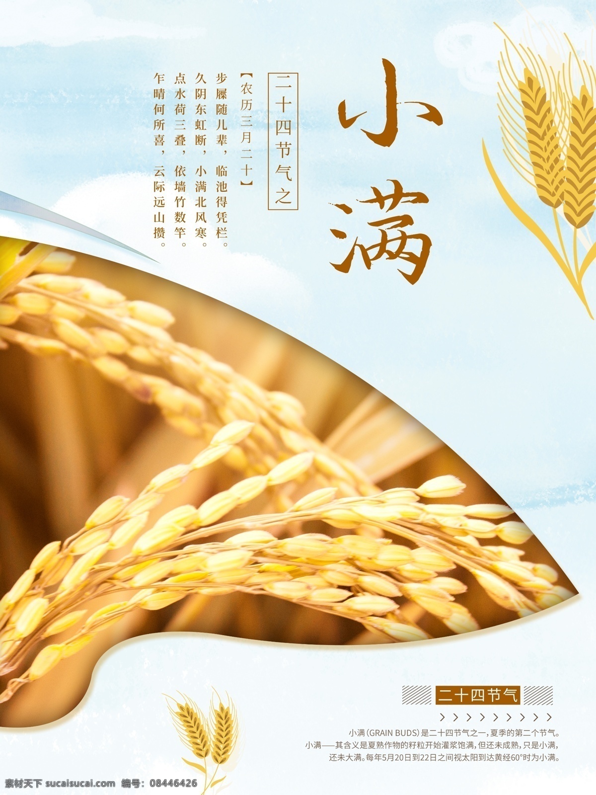 小满 小满海报 小满节气海报 小满节气图 小满微信图 小满刷屏图 芒种 小麦 麦子 麦田 二十四节气 节气图 传统节气 小满主题 节日节气