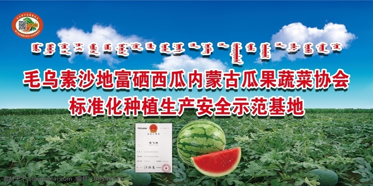 西瓜地 示范基地 安全示范基地 雪飞燕西瓜 种植基地 分层 背景素材