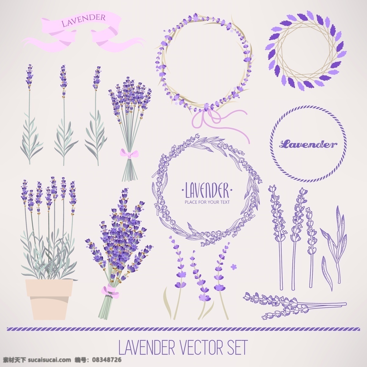 紫色的薰衣草 卡通 插画 植物 紫色 薰衣草 浪漫