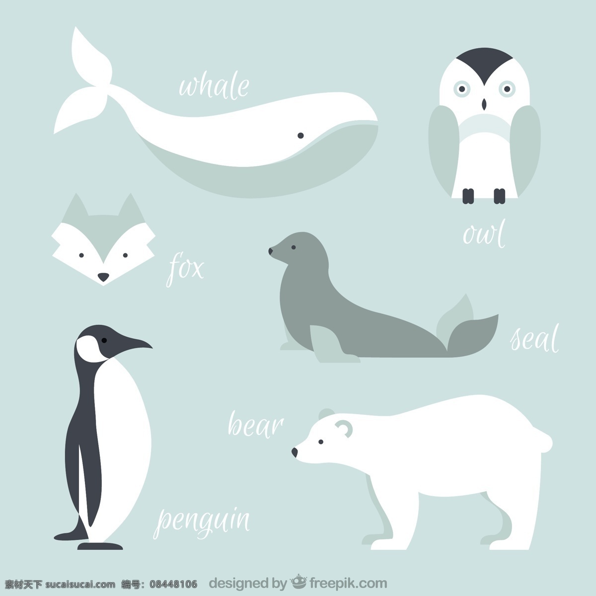 北极动物集合 动物 猫头鹰 熊 海豹 冰 冷冻 狐狸 企鹅 白色 鲸鱼 北极熊 北极
