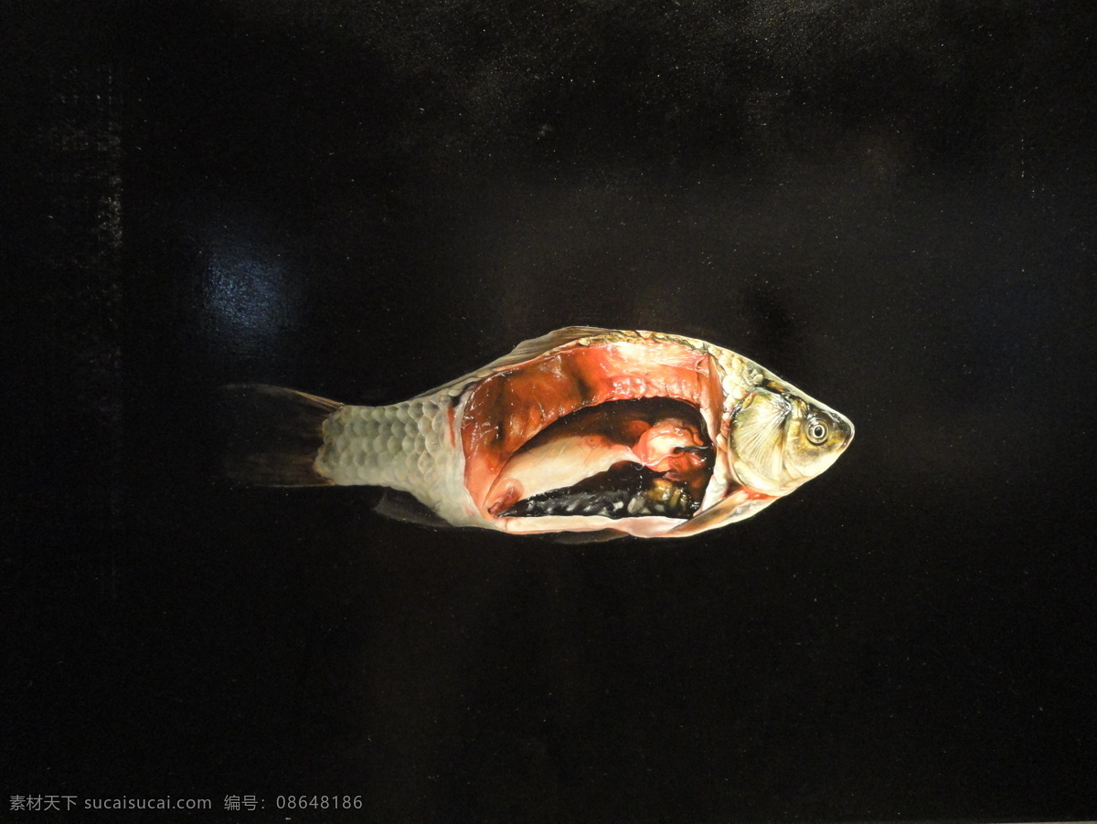 油画 静物 当代艺术 绘画书法 内脏 文化艺术 写实 油画静物 生鱼 家居装饰素材