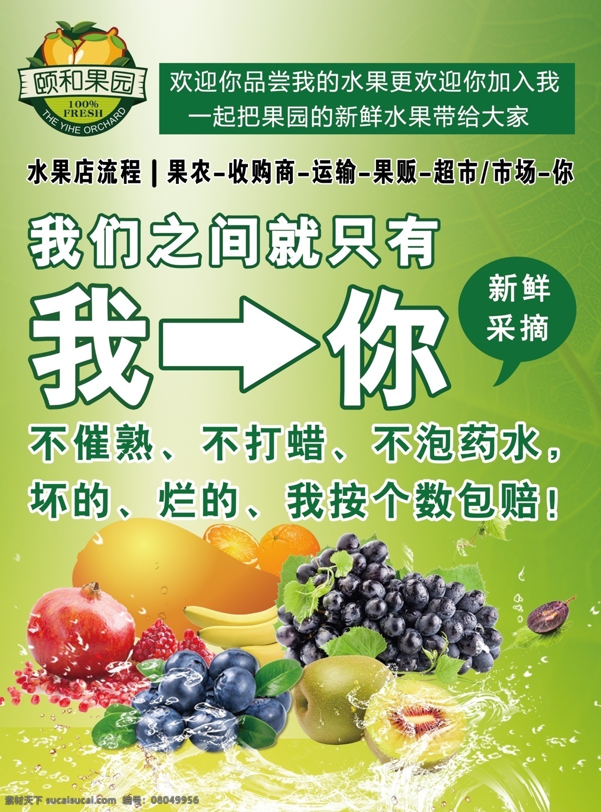 颐和果园 新鲜 水果 快速 催熟 不打蜡 不泡药水 超市 市场 宣传单 果 运输 果农 分层