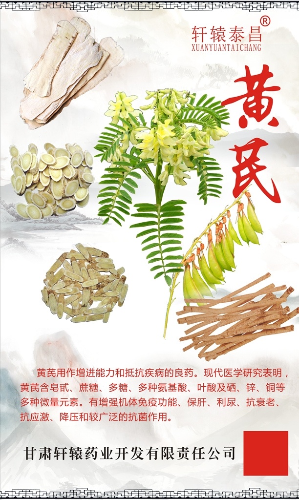 中药材黄芪 道地中药材 黄芪 药食中药材 甘肃道地药材