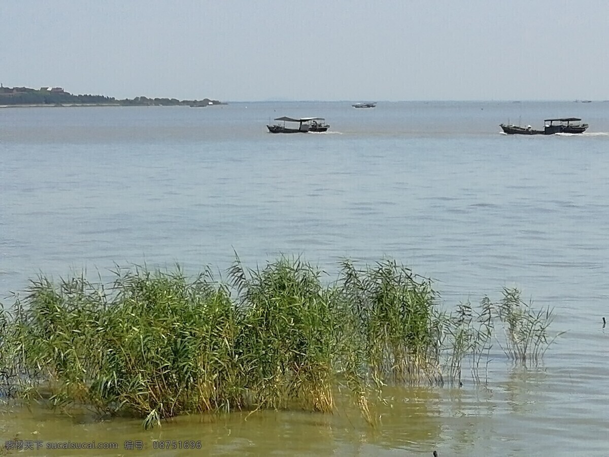 太湖 长兴 晨光 水 湖面 芦苇 船只 旅游摄影 国内旅游