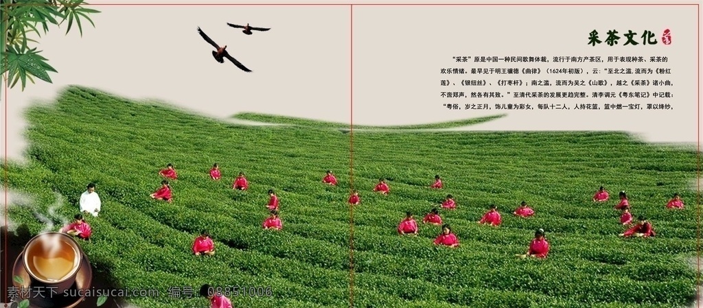茶画册 中国风画册 画册内页 古风底图 茶道 传统文化 画册设计
