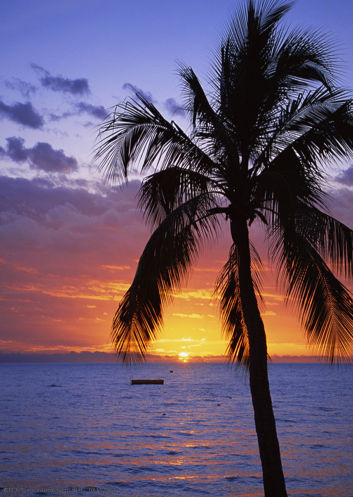 美丽 海边 夕阳 风景 高清 大海 海洋 海水 椰子树 黄昏