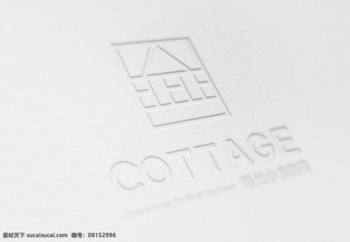 高端 logo 效果图 智能 贴图 模版 样机 高端logo 智能贴图 白色