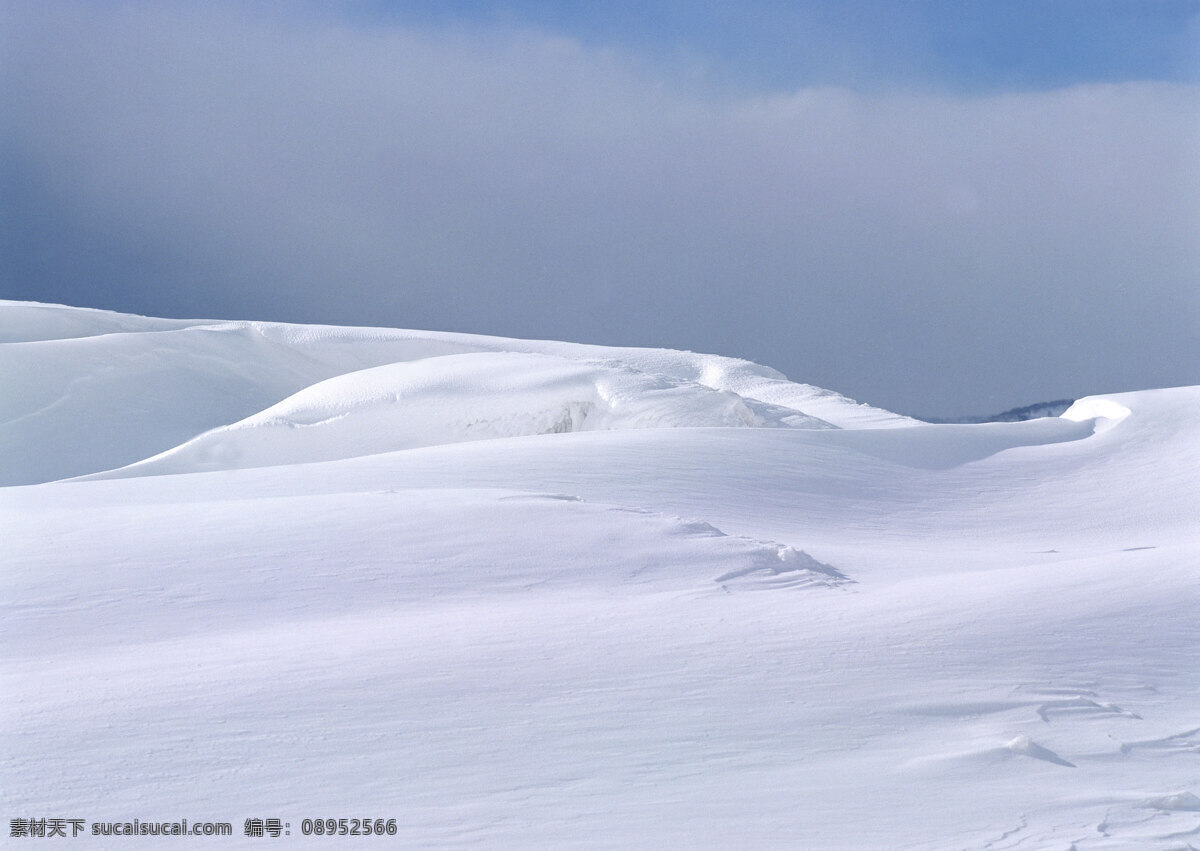 降雪 雪花 白 树 雪原 在雪地里 冬季下雪 冬天 雪山谷 山 冬季 景观 北方 雪景 雪山 自然景观 风景名胜