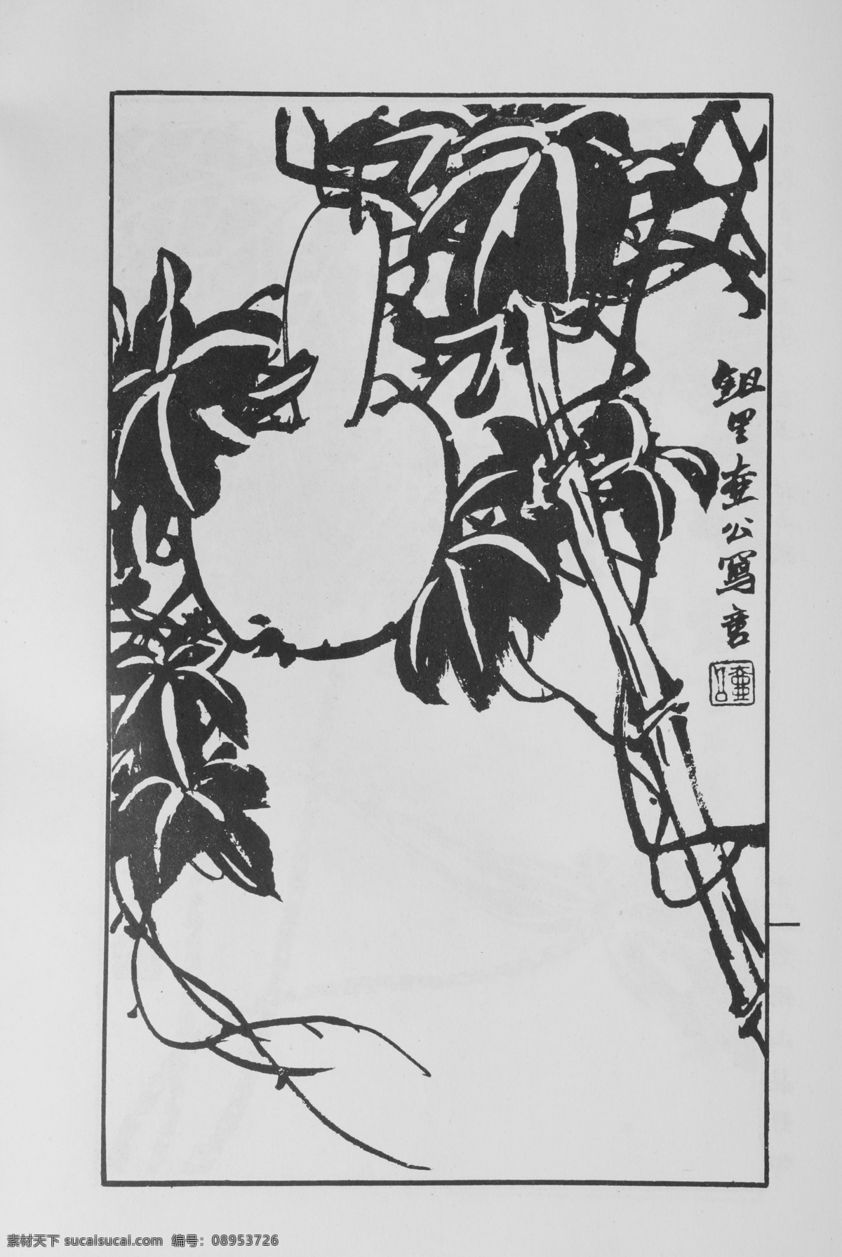 花卉画 中国画 当代 名画 大观 正 集 81 设计素材 花鸟画篇 中国画篇 书画美术 灰色