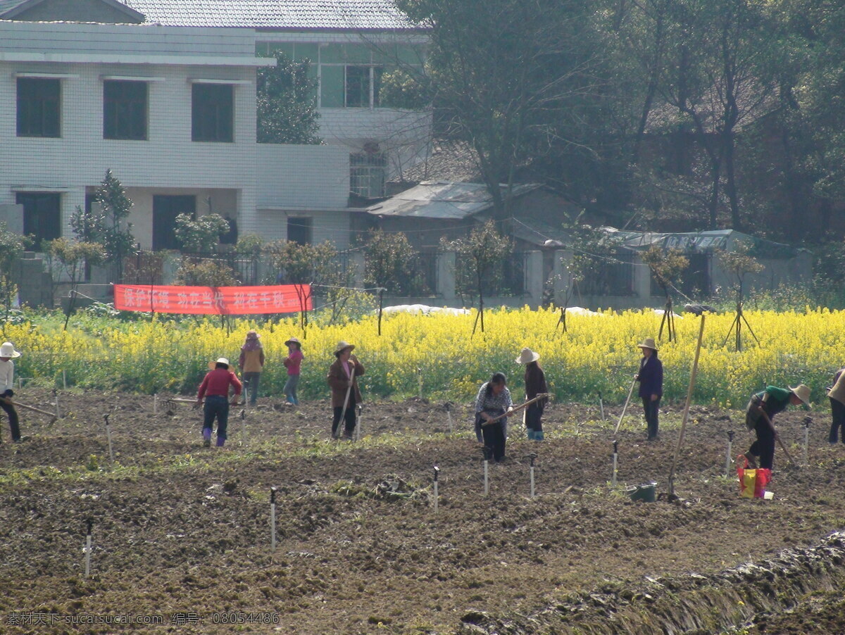 菜地 菜园 村落 大棚 建筑景观 农村 农家 农家乐 蔬菜 基地 油菜花 株洲县松西子 生态 大棚蔬菜 蔬菜基地 种植基地 庄园 松西子社区 田园 田园风光 农庄 自然景观 风景 生活 旅游餐饮