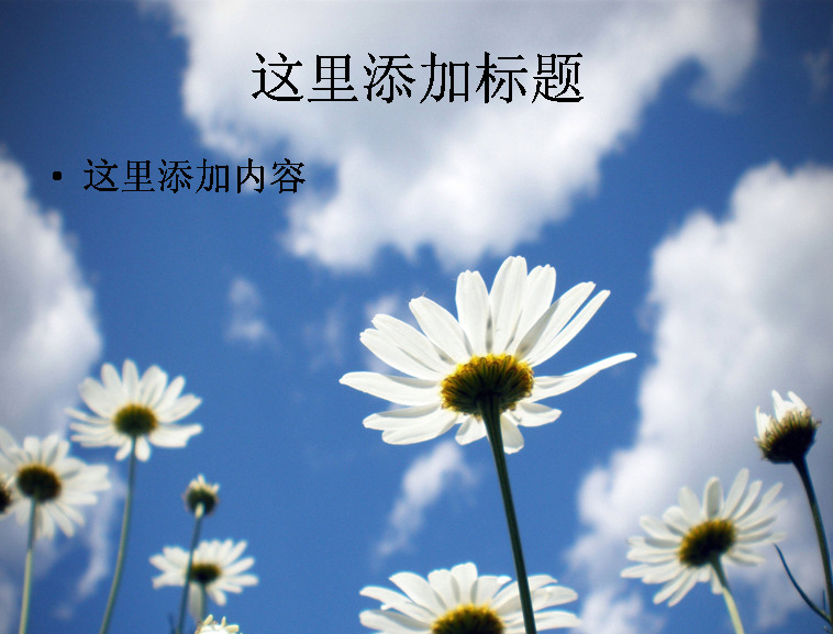 蓝天 花 小 清新 风景 鲜花 小清新 小花 自然风景 模板