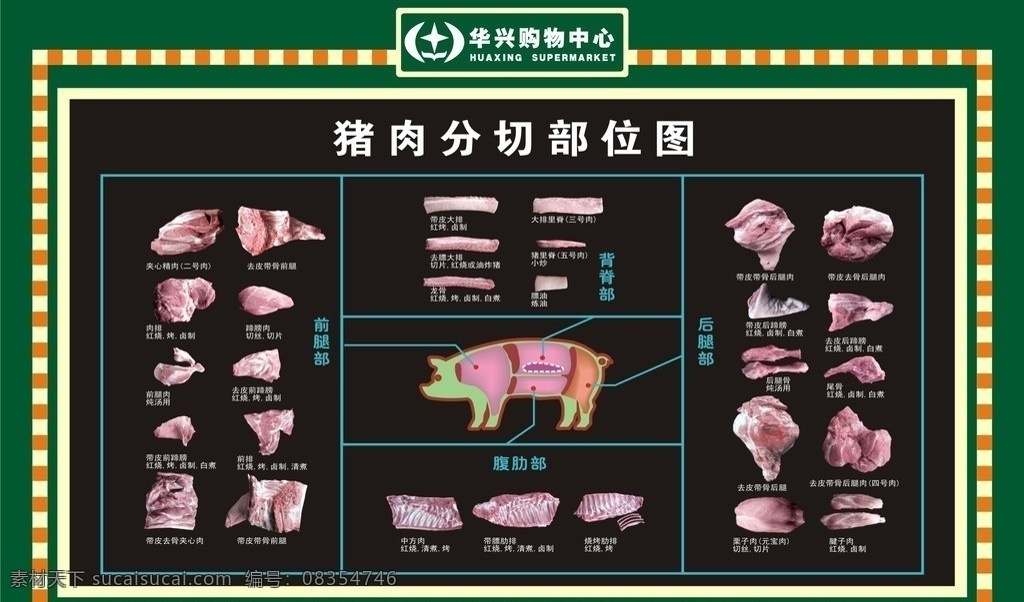 猪肉分割 猪肉 分割图 矢量