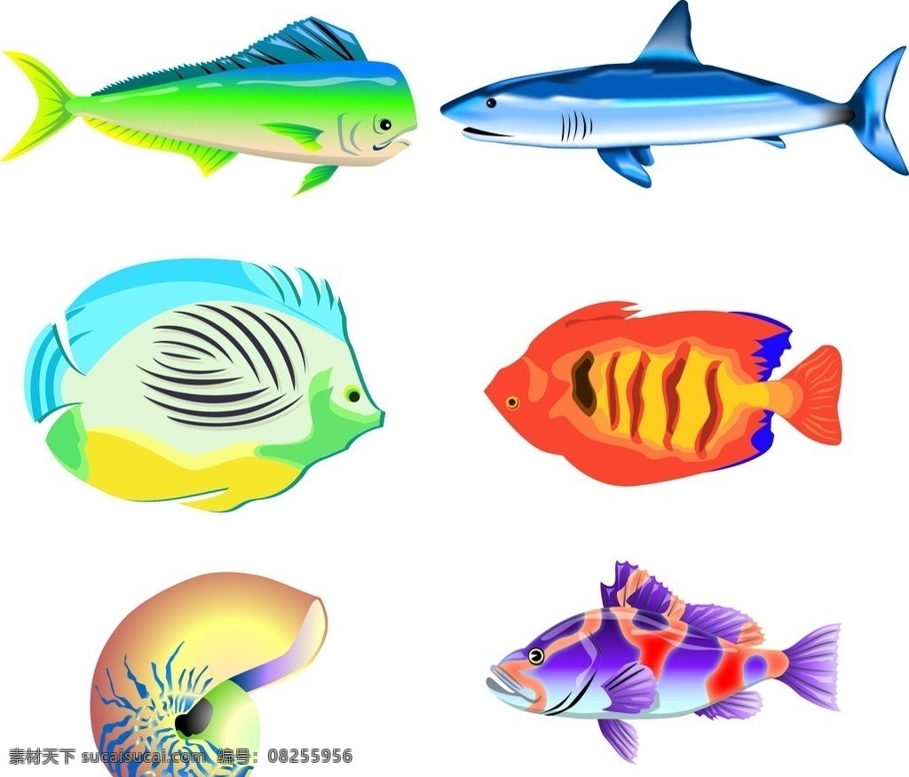 鱼图片 鱼 生物世界 鱼类 海螺 矢量图库 各类鱼 鱼素材 海洋生物 矢量