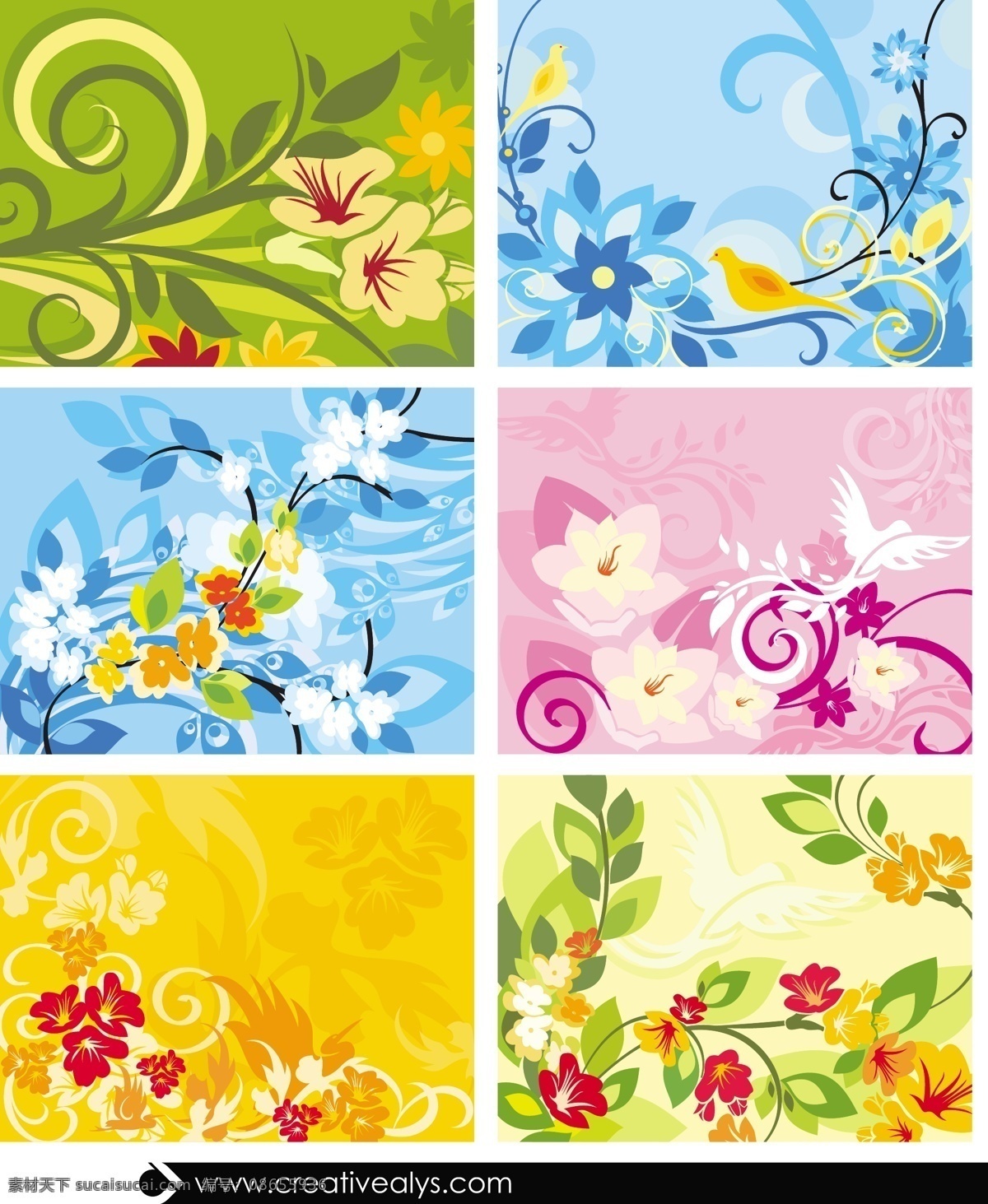 美丽 花卉 背景 设置 底 图 海报 图标 鸟的背景 鸟儿和花朵 floewrs 花纹 花的背景 花的旗帜 花艺设计 花 波利尼西亚 矢量