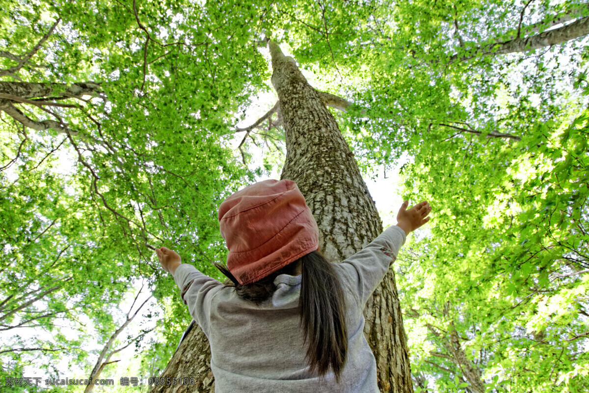 拥抱 大树 小女孩 树木风景 美丽风景 美丽景色 自然风光 美景 花草树木 生物世界 绿色