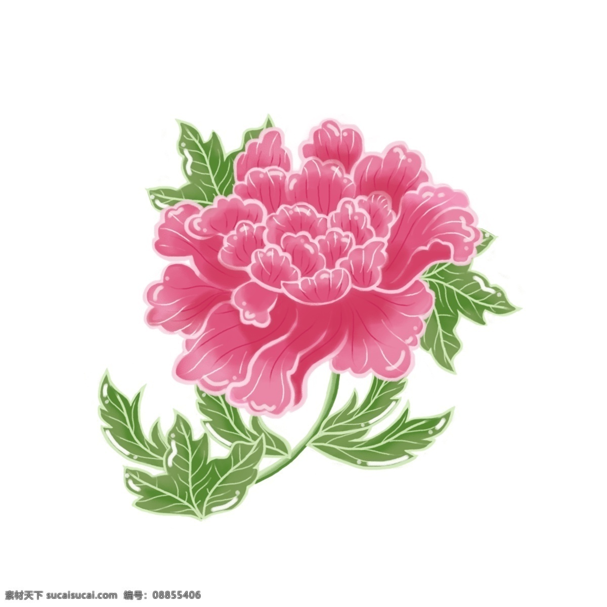 手绘 牡丹花 浪漫 植物 花卉 花朵 装饰 清新 手绘花 牡丹 花束