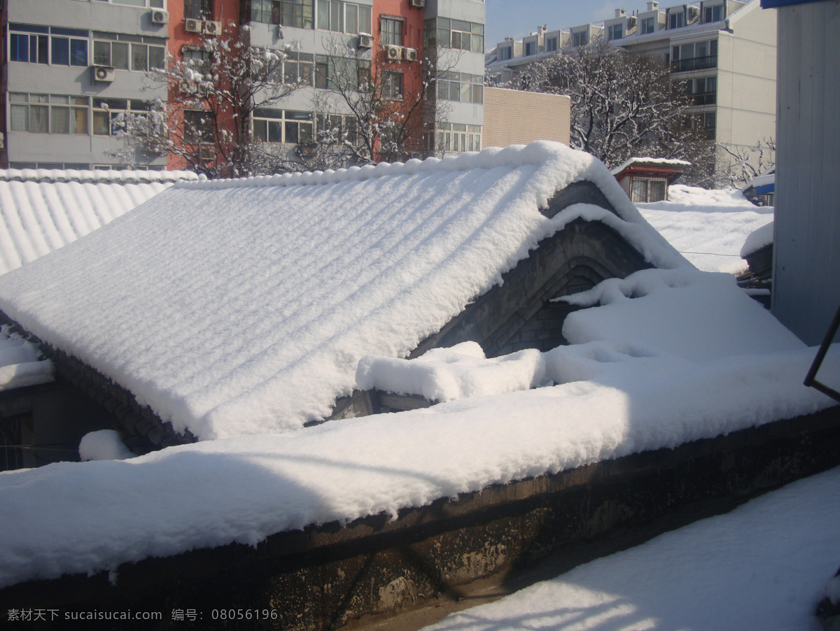 雪 屋顶 树 京城 冬天 冬景 北京 自然景观 自然风景