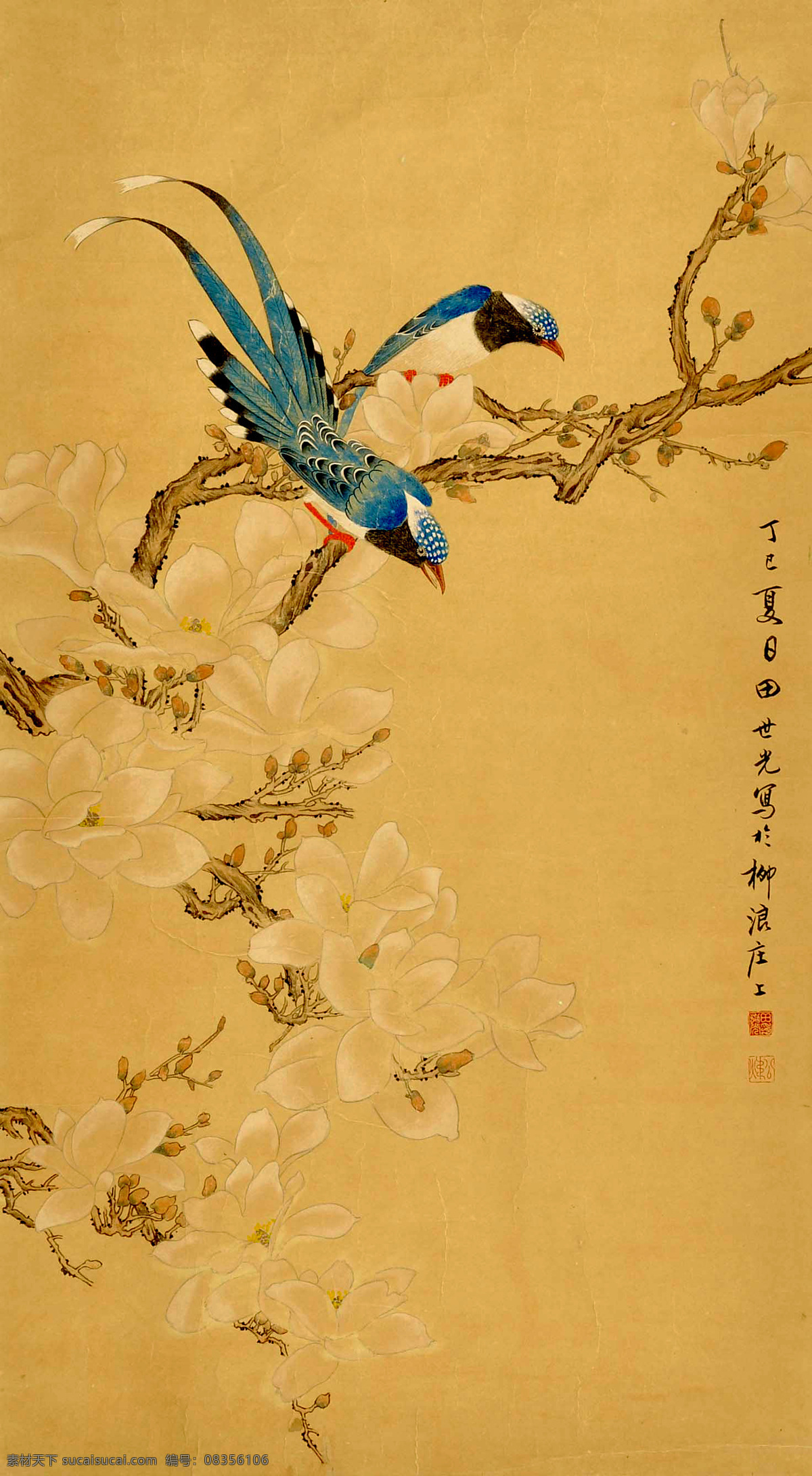 田世光 花鸟 工笔 国画 中国画 传统画 名家 绘画 艺术 文化艺术 绘画书法