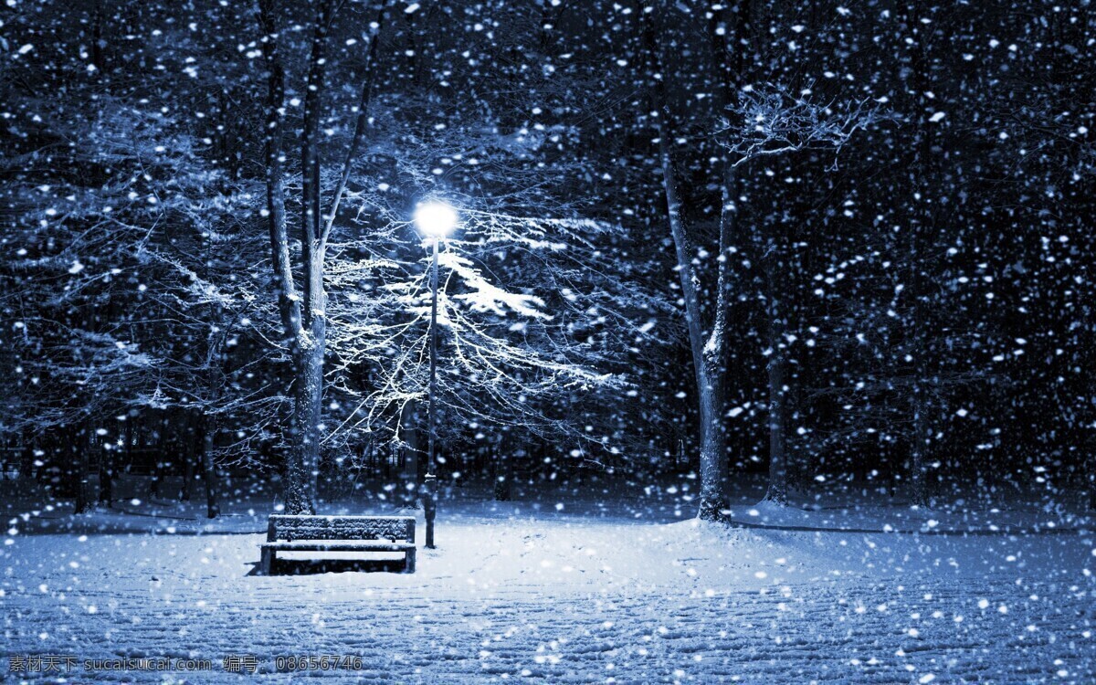 雪花 下雪 夜晚 黑夜 自然 大自然 美景 自然风景 自然景观