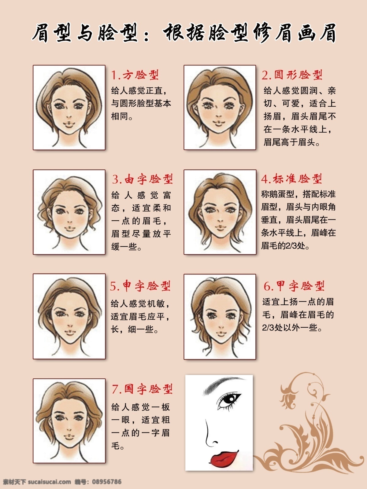 眉型与脸型 眉型纹绣 修眉画眉 各种脸型简介 纹绣 脸型眉型 分层