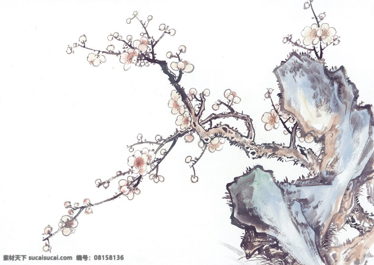 梅花国画 国画花 国画树木 树木绘画 水墨梅花 国画素材 文化艺术 绘画书法