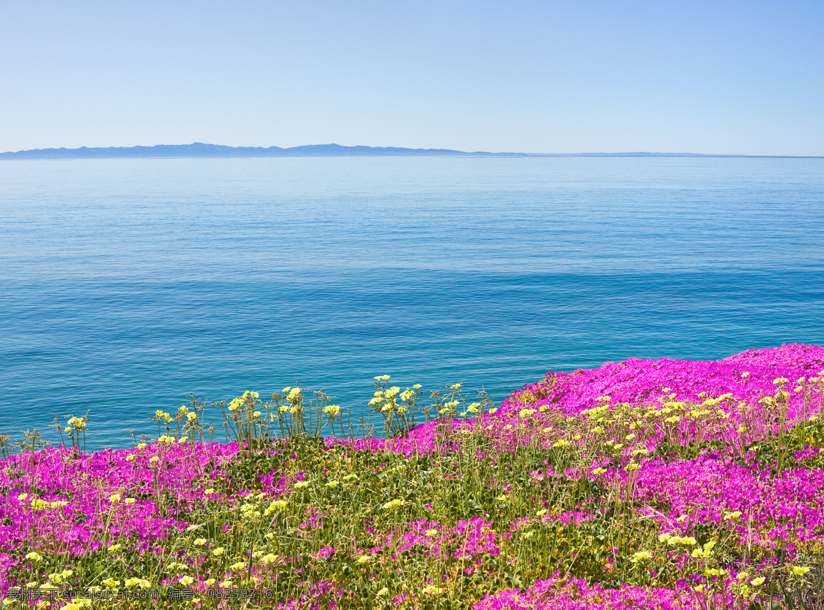 湖岸上的鲜花 湖面风景 湖泊风景 美丽鲜花 美丽花朵 花卉 美丽风景 自然风景 自然景观 蓝色