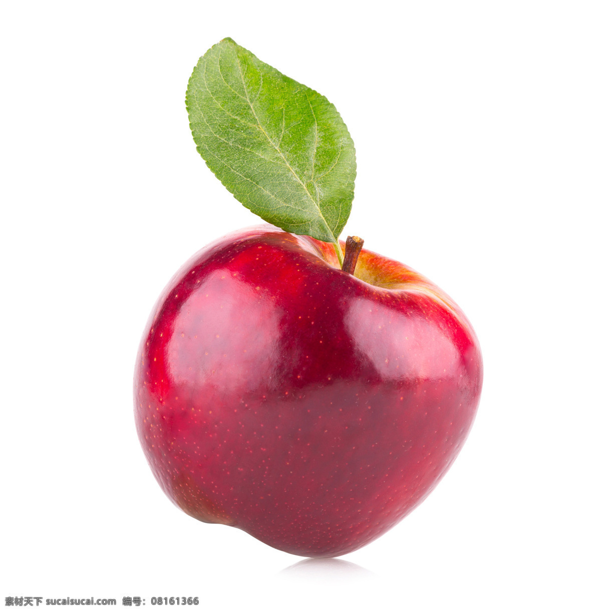 苹果 红富士 苹果园 新疆苹果 阿克苏苹果 冰糖心 水果 生物世界